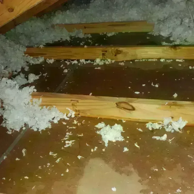 Attic Water Damage in Mantua, VA