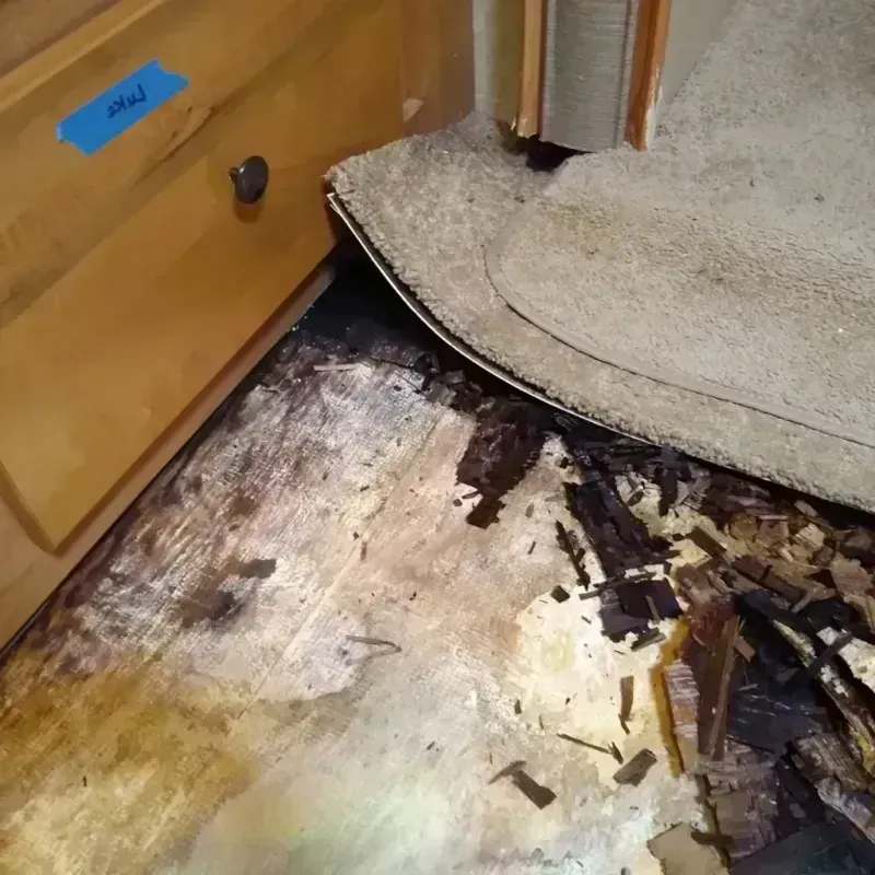 Best Wood Floor Water Damage Service in Mantua, VA